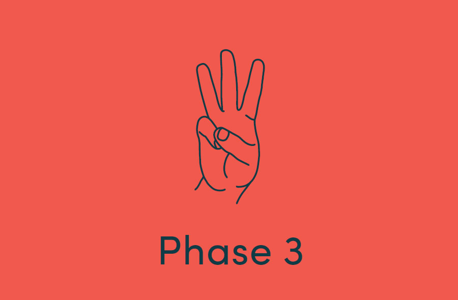 Phase 3